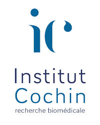 Institut Cochin