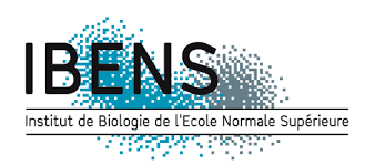 Institut de Biologie de l'Ecole Normale Supérieure