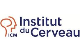 Institut du Cerveau